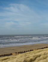 Beeldvergroting: Egmond, vanmiddag