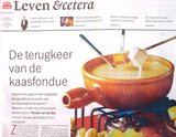Beeldvergroting: (Het gewraakte artikel in NRC-Handelsblad, zaterdag)