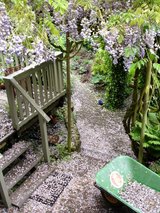 Beeldvergroting: \'...hoe haal je het in je harses nu al je bloesems los te laten...\'